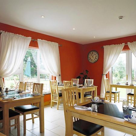 Greenlawn Lodge Lisdoonvarna Eksteriør billede