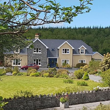 Greenlawn Lodge Lisdoonvarna Eksteriør billede