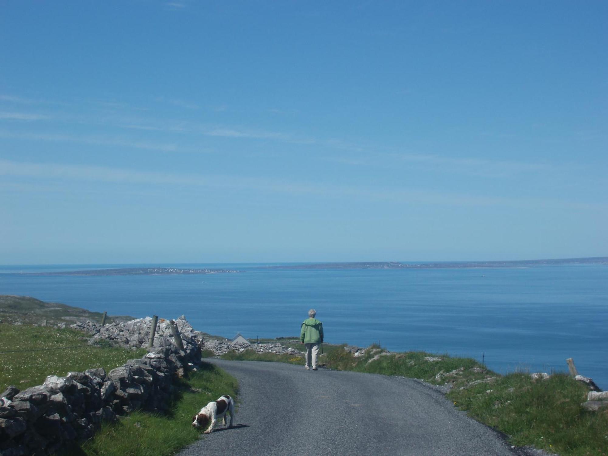 Greenlawn Lodge Lisdoonvarna Eksteriør billede