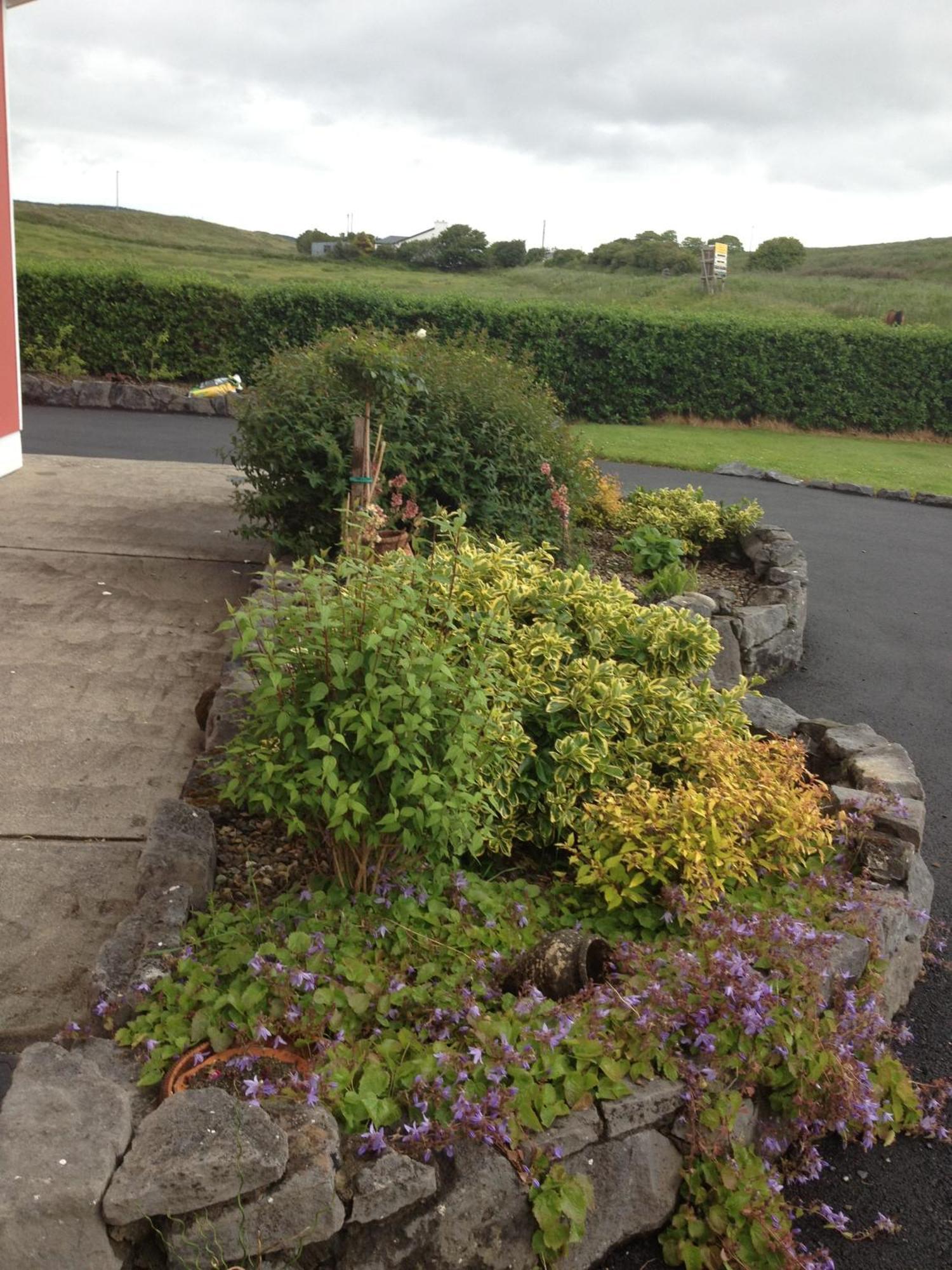 Greenlawn Lodge Lisdoonvarna Eksteriør billede
